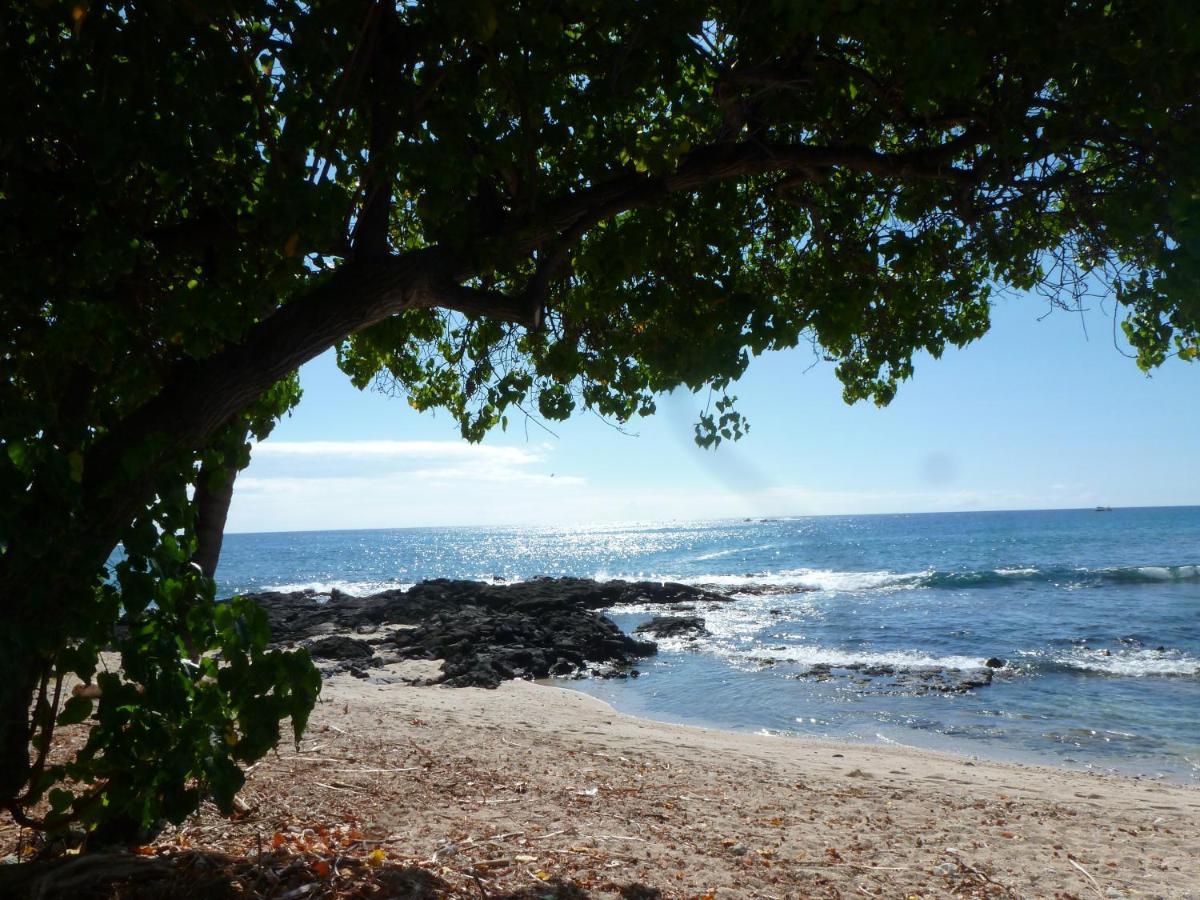 Downtown Hawaiian Paradise Condo With Hot Tub, Pool & Beach - Kona Islander Inn Kailua-Kona Ngoại thất bức ảnh
